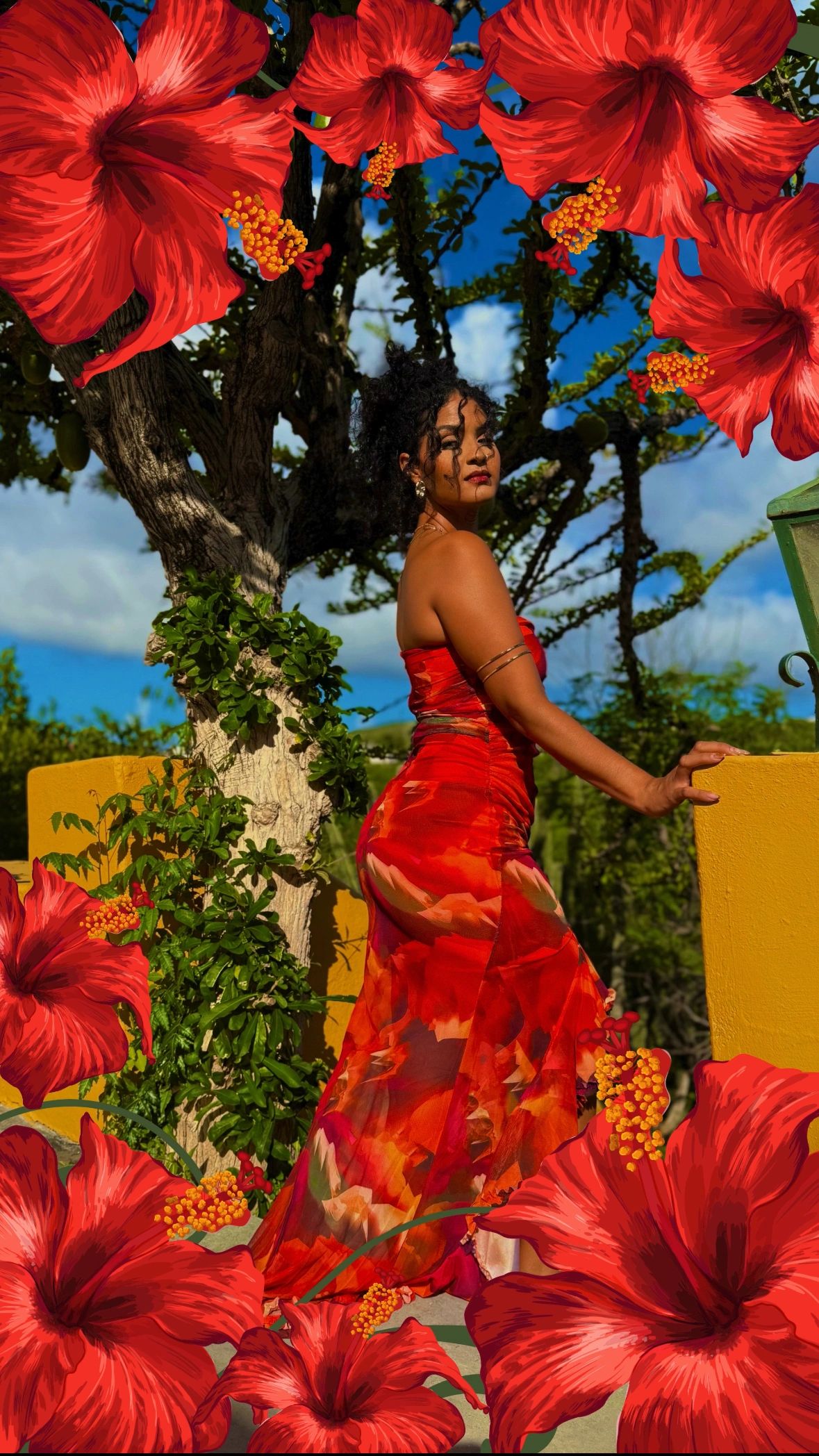 Alexandra Demi Mi Ke Bo Sa Artwork music