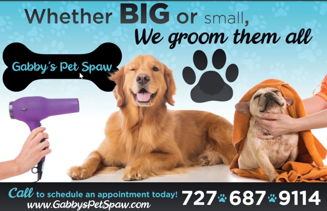 Dog Grooming - Gabby's Pet Spaw