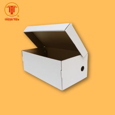 Hộp Carton