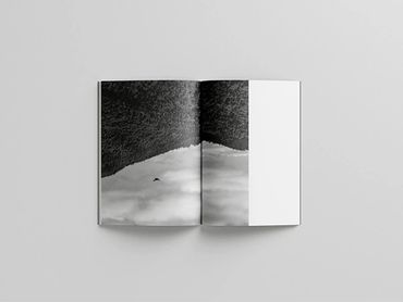 Open book with a black and white photo of a forest and sky.