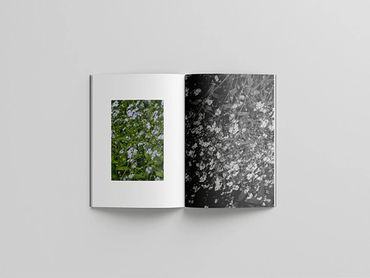Open book showing floral images in color and black-and-white.