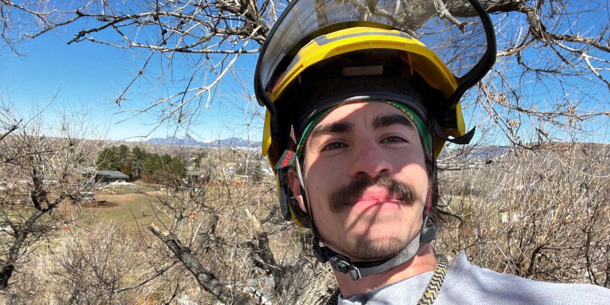 Arborist smiling with a safety helmet among trees.