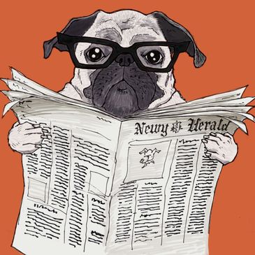 A picture of a dog wearing glasses and reading a newspaper. Click here to view our current news.
