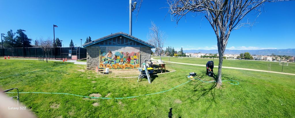 Day eight of mounting and a better prospective on the wall and its environs.