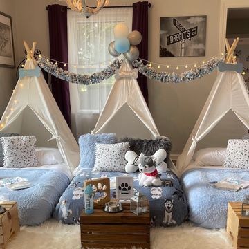 Festa Sleepover Paw-rty theme