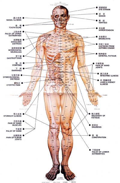 Just a few of the thousands of beneficial Acupoints