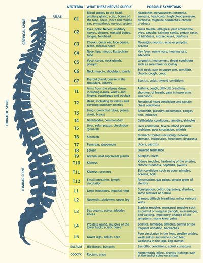 Nerve chart showing nerve supply and some potential symptoms of dysfunction