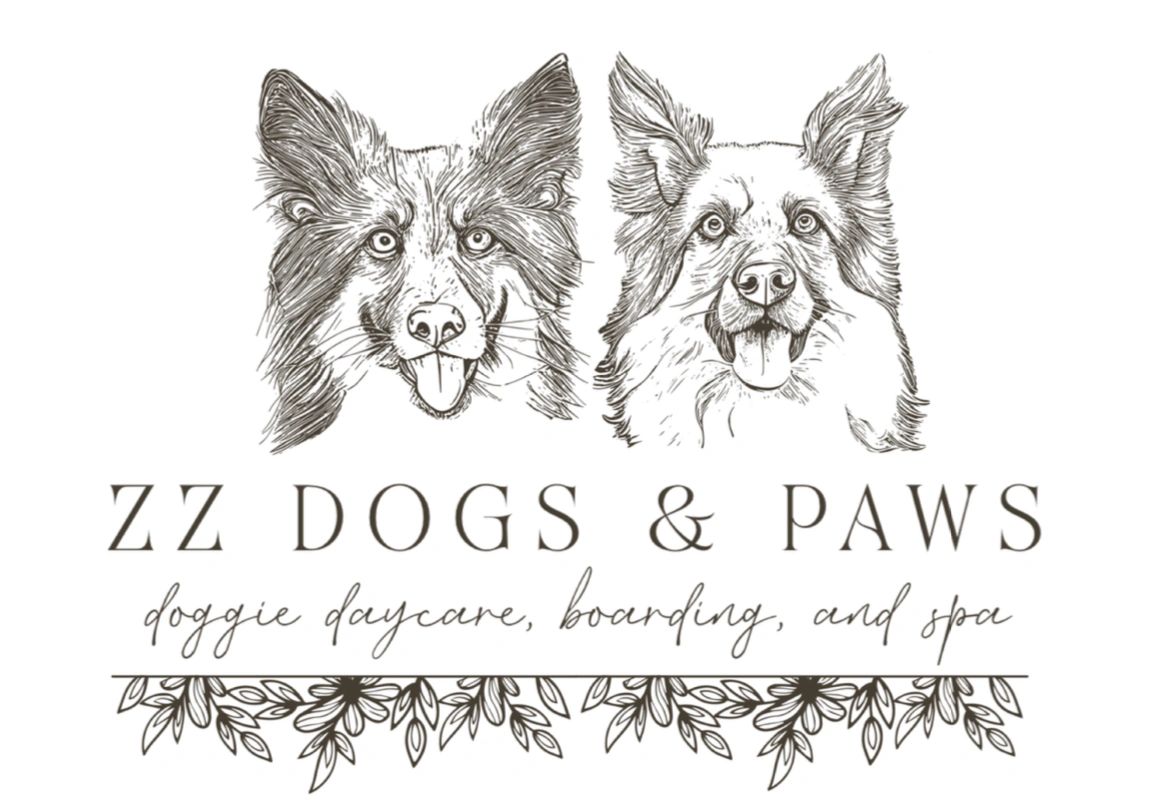 Z dog hot sale daycare
