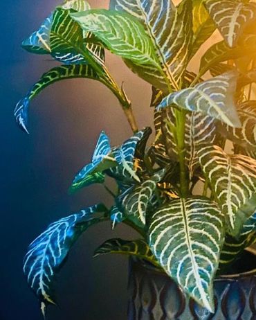 Artificial plants, yes or no? Great for allergy sufferers
Great for if you have pets that chew – be