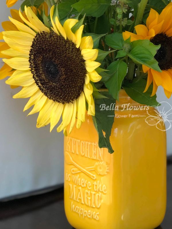 Sunflower ProCut Orange yellow orange flowers in yellow vase