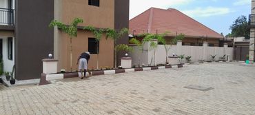 Nice looking front yard with a well organized palm trees
