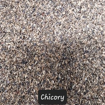 Chicory

