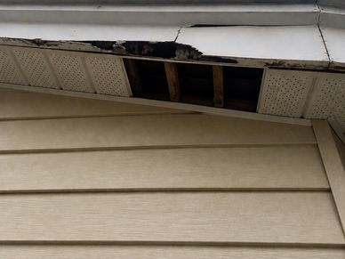 Damaged fascia and soffit