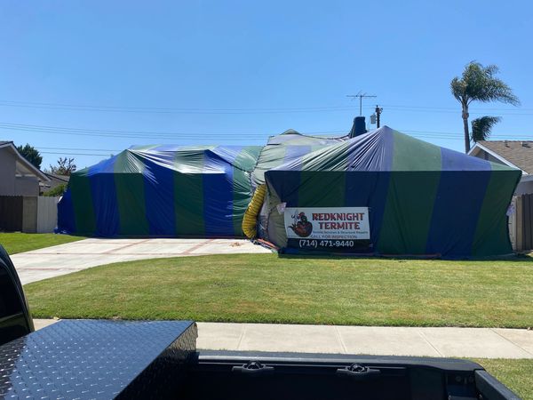 House tented for termite fumigation by Red Knight Termite.