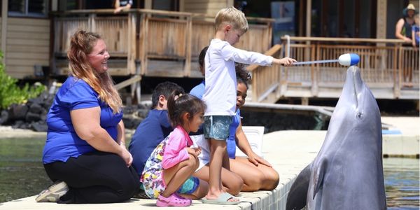 Dolphin Quest Photo of children engaging in a Dolphin Quest activity.