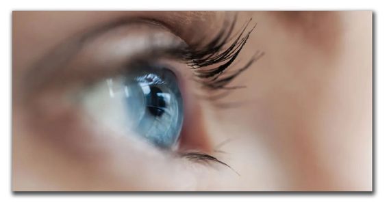 Terese Forster, LMFT #53069 Licensed Marriage and Family Therapist Pasadena, CA, soma-psych.com