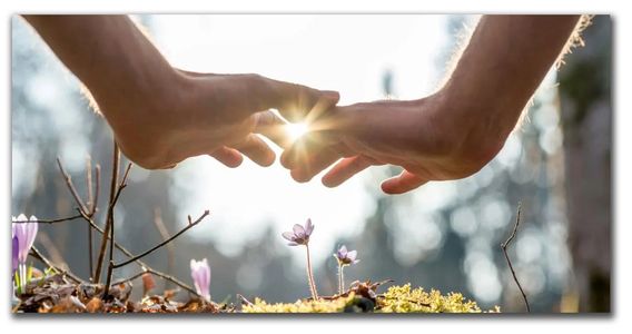 Terese Forster, LMFT #53069 Licensed Marriage and Family Therapist Pasadena, CA, soma-psych.com