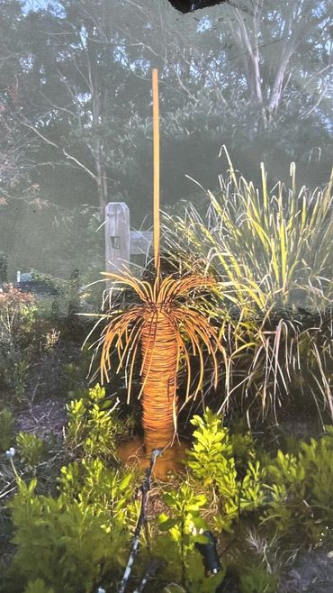 Grasstrees 1.2,1.5,1.8,2.2 mt