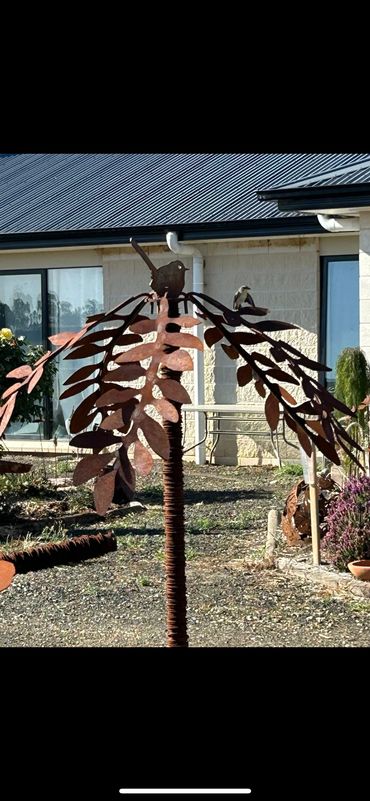 Weeping cherry 1.6 mt