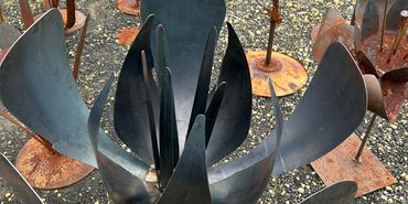 Single flower not rusted