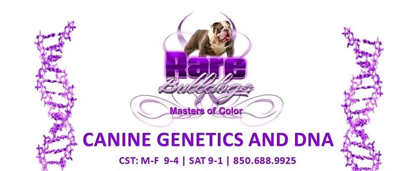Rare Color Canine Genetics and DNA
