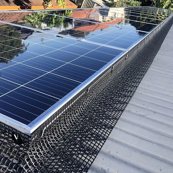 Professional bird proofing in South Orange County, CA — serving Irvine, Laguna Niguel, Dana Point