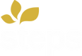 Supporting Team Excellence WITH Patients Society (STEPS)