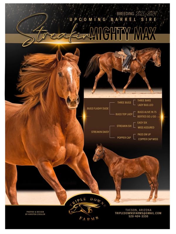 Upcoming Barrel Sire