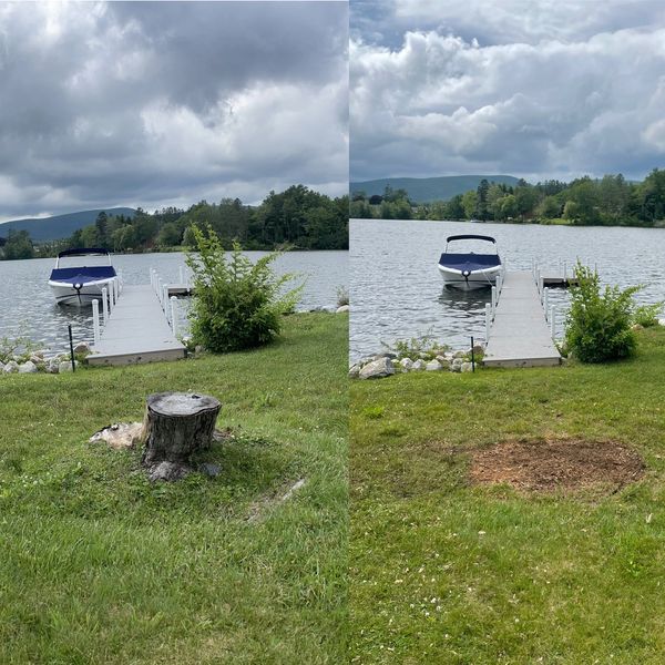 Pittsfield Massachusettes Experienced Professional Tree Stump Grinding / Tree Stump Removal