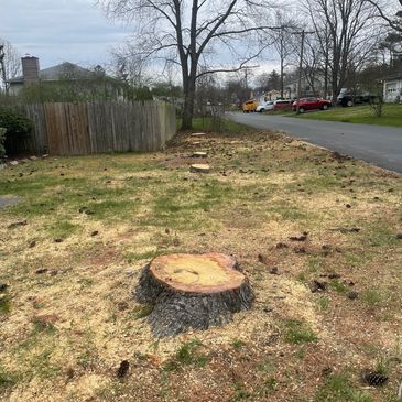 tree stump removal West Sand Lake NY. tree stump grinding in West Sand Lake NY. Tree service near me