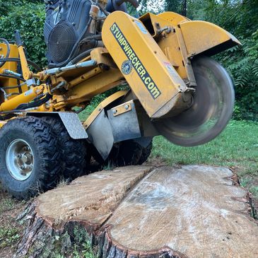 Stump Wrecker Professional Stump Grinding and stump removal Service trusted in West Sand Lake NY.