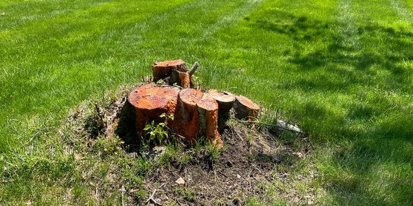 Tree service removing stumps in  Slingerlands NY professional experienced tree service