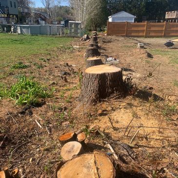 Stump Wrecker Professional Stump Grinding Service removing stumps in West Sand Lake NY.