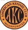 AKC Breeder