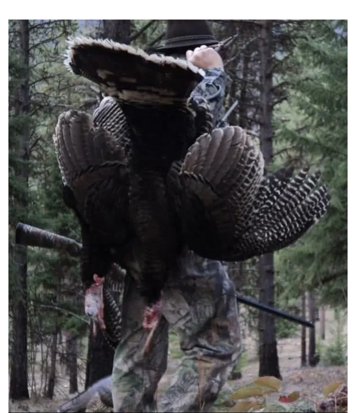 Stack of books next to pencils in a holder and a camera.