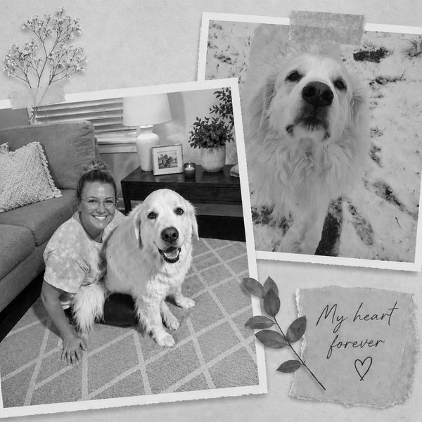 A woman joyfully hugs her golden retriever dog indoors with a loving message.