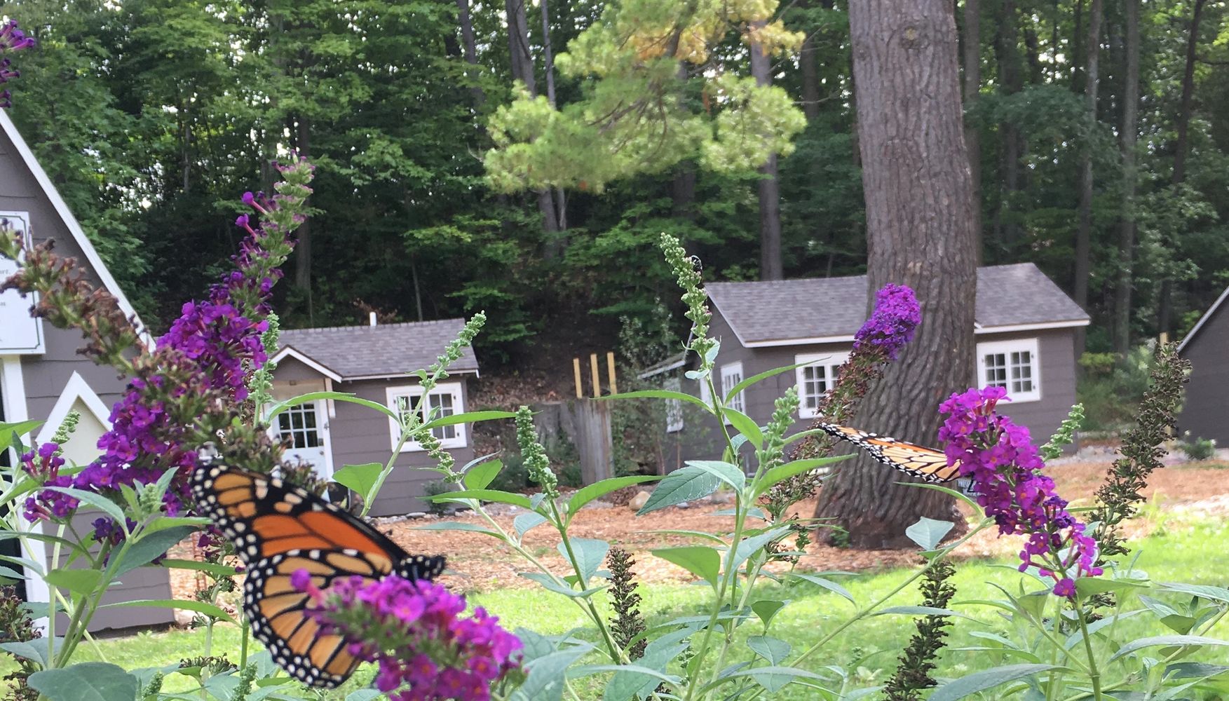 cottage rental