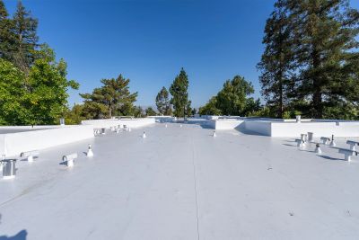 Flat white commercial roof with vents and surrounding trees under a clear blue sky.