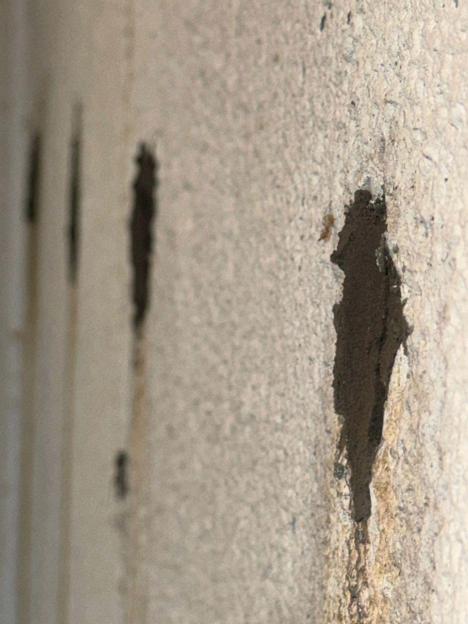 Rod Holes Sealed in Canton MI