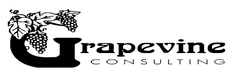 Grapevine Consulting inc

112 Haddontowne court
suite 201 
cherry