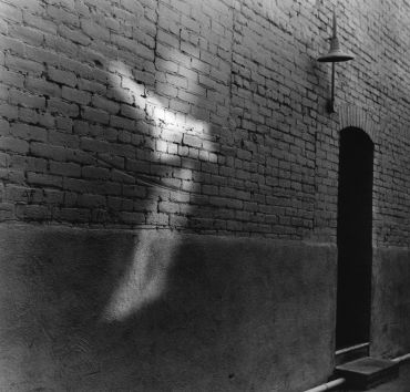 Shadow of a dove projected on a brick wall near a doorway.