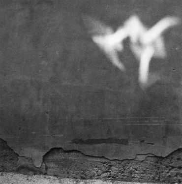 Old wall with peeling paint and a blurry white shape above.