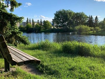 peaceful park with river