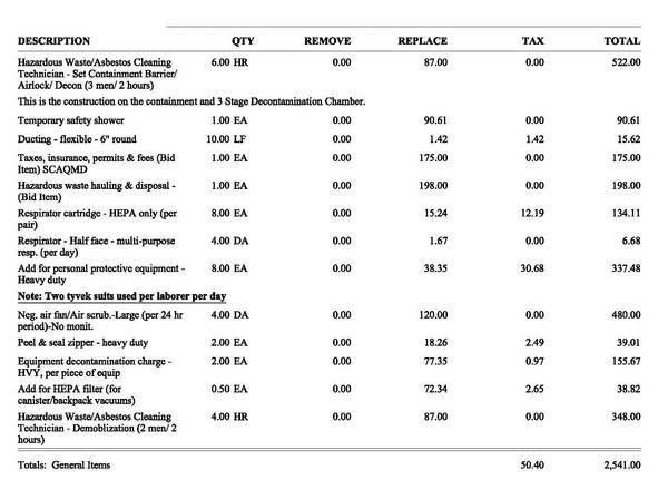 Itemized hazardous waste/asbestos cleaning and equipment charges with quantities, taxes, and totals.