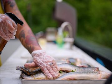 Person preparing fish with gloves in a tray outdoors.
