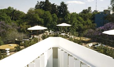 Hotel Condesa DF rooftop in La Condesa Roma Mexico City trendy drinks