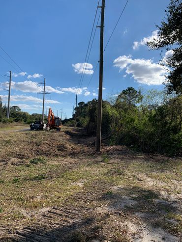 image of cleared powerline right-of-way