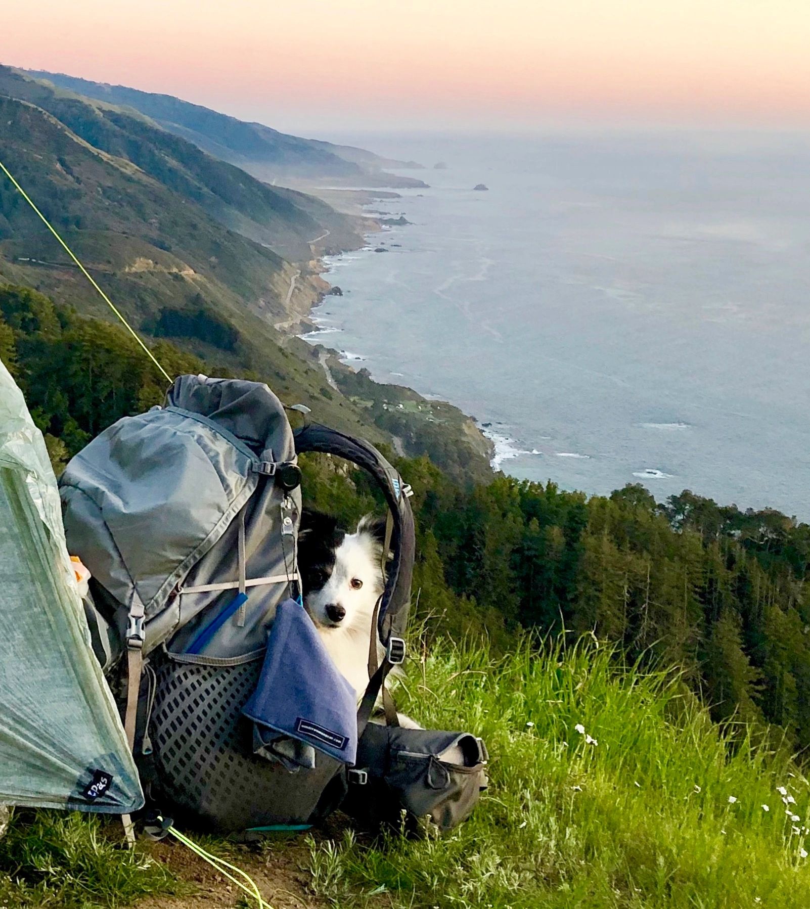 Anatomy of a pee rag Wander Woman Gear