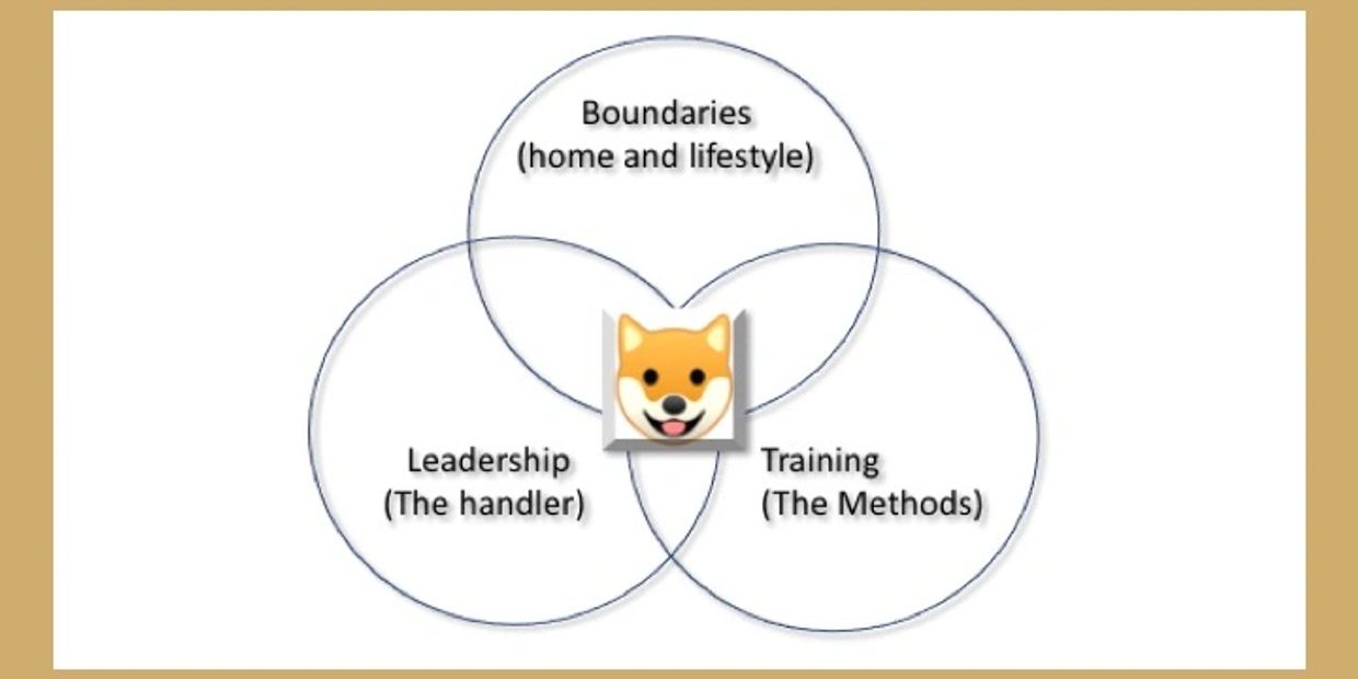 BLT dog training framework
 