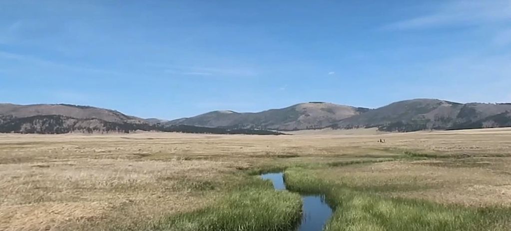 Valle Caldera Snake Creek